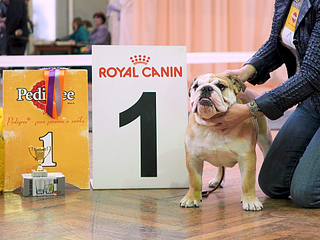 1920 X 1440 297.2 Kb 15.03.2014 - ,   11 