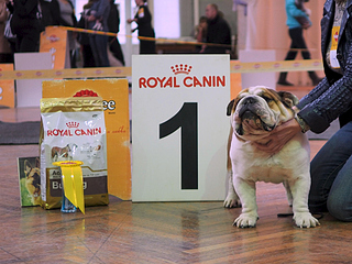 1920 X 1440 218.4 Kb 1920 X 1440 297.2 Kb 15.03.2014 - ,   11 