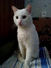 768 X 1024 135.6 Kb 768 X 1024 120.7 Kb 768 X 1024 152.7 Kb 768 X 1024 149.7 Kb    / 