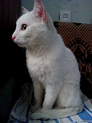 768 X 1024 130.0 Kb 768 X 1024 135.6 Kb 768 X 1024 120.7 Kb 768 X 1024 152.7 Kb 768 X 1024 149.7 Kb    / 