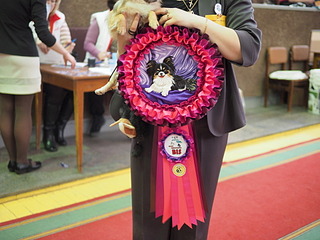 1920 X 1440 594.9 Kb 15.03.2014 - ,   11 