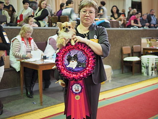 1920 X 1440 580.8 Kb 1920 X 1440 594.9 Kb 15.03.2014 - ,   11 