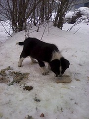 1200 X 1600 388.2 Kb   