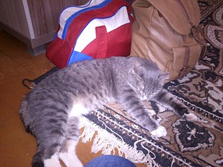 807 X 605 105.2 Kb 807 X 605  95.6 Kb  