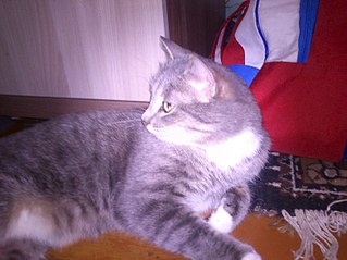 807 X 605  80.8 Kb 807 X 605 105.2 Kb 807 X 605  95.6 Kb  