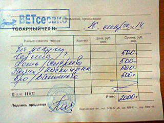 640 X 480 56.5 Kb Кошки в стационаре Ветсервиса. Нужна материальная помощь!
