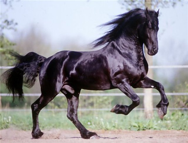 640 x 488 674 x 505 Любовь за деньги