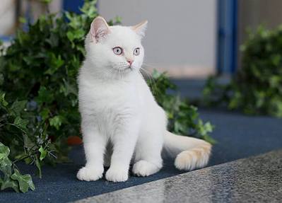 960 X 689  54.9 Kb    !()