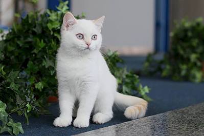 960 X 637  50.9 Kb 960 X 689  54.9 Kb    !()