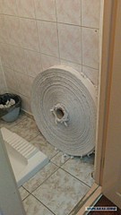 576 X 1024 106.5 Kb Ершик в туалете