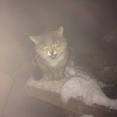 1024 X 1024  75.0 Kb 180 x 240  