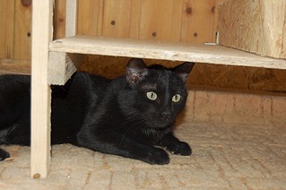 1920 X 1276 401.1 Kb .      