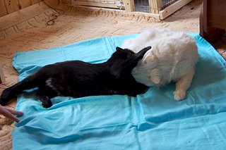 1920 X 1279 415.9 Kb .      