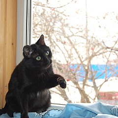 1920 X 1920 533.1 Kb 1920 X 1276 424.6 Kb .      