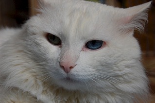 1920 X 1276 356.7 Kb   