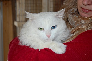 1920 X 1276 444.4 Kb   