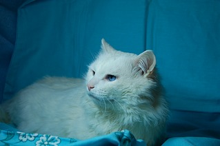 1920 X 1276 285.7 Kb   