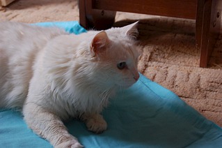 1920 X 1276 372.8 Kb 1920 X 1276 285.7 Kb   