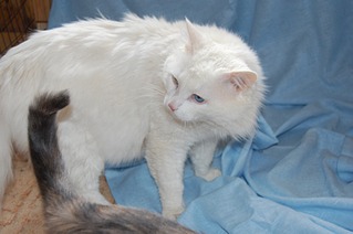 1920 X 1276 318.9 Kb   