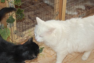 1920 X 1276 412.0 Kb 1920 X 1276 318.9 Kb   