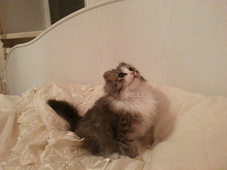 1920 X 1440 802.8 Kb 1920 X 1440 849.9 Kb 1920 X 1440 864.5 Kb 1920 X 1440 810.5 Kb 1920 X 1440 865.2 Kb     