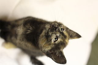 1920 X 1280 309.7 Kb     !