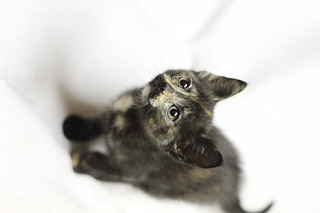 1920 X 1280 218.3 Kb     !