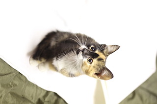 1920 X 1280 198.3 Kb     !