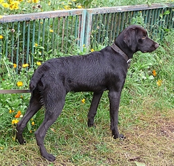 1321 X 1261 297.3 Kb   -  - 