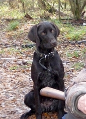 1112 X 1535 224.8 Kb 1321 X 1261 297.3 Kb   -  - 