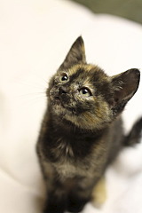 1280 X 1920 370.2 Kb     !