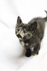 1280 X 1920 273.1 Kb 1280 X 1920 370.2 Kb     !