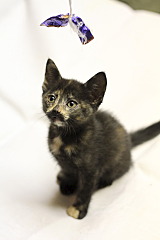 1280 X 1920 311.8 Kb 1280 X 1920 273.1 Kb 1280 X 1920 370.2 Kb     !