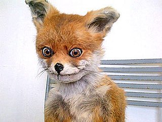 340 X 255 22.9 Kb test android