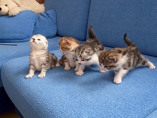 1920 X 1440 297.4 Kb  .   ( 11.08.13)