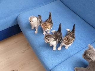 1920 X 1440 726.8 Kb 1920 X 1440 297.4 Kb  .   ( 11.08.13)