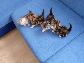 1920 X 1440 845.1 Kb 1920 X 1440 726.8 Kb 1920 X 1440 297.4 Kb  .   ( 11.08.13)