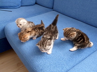 1920 X 1440 841.5 Kb  .   ( 11.08.13)