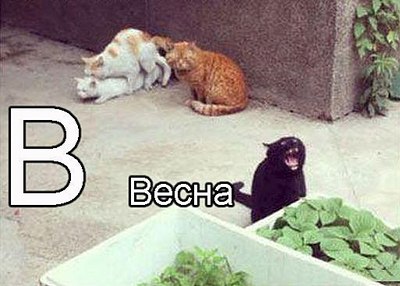 513 X 367  36.8 Kb Улыбнемся?