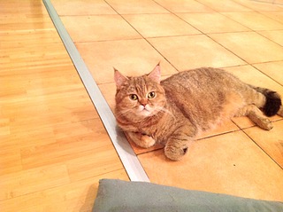 1920 X 1434 579.3 Kb   - 