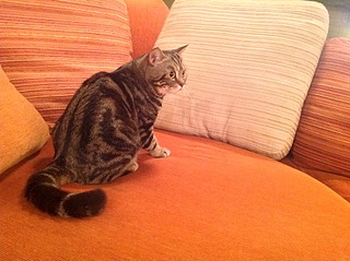 1920 X 1434 849.8 Kb 1920 X 1434 579.3 Kb   - 