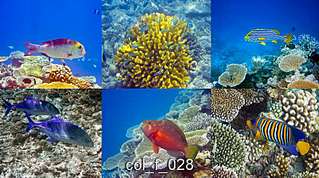 800 X 445  71.3 Kb 655-303 | АКВАРЕЛЬ ТУР | www.akvarel18.ru | Цвета вашего отдыха!