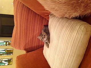 1920 X 1434 847.3 Kb   - 