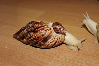 1920 X 1280 475.0 Kb   !