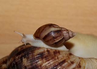 1920 X 1366 322.7 Kb 1920 X 1280 475.0 Kb   !