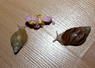 1920 X 1382 511.3 Kb   !