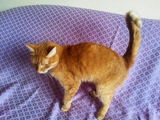 807 X 605 162.7 Kb 807 X 605 183.7 Kb 807 X 605 196.2 Kb     