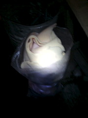 1920 X 2560 448.7 Kb 1920 X 2560 537.9 Kb 1920 X 1440 570.0 Kb 1920 X 1440 509.9 Kb   ( )