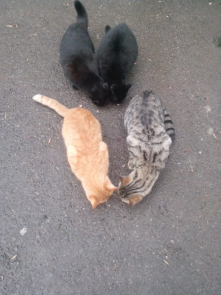 768 X 1024 197.5 Kb 768 X 1024 156.7 Kb     