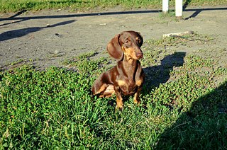 807 X 536 184.3 Kb 2 